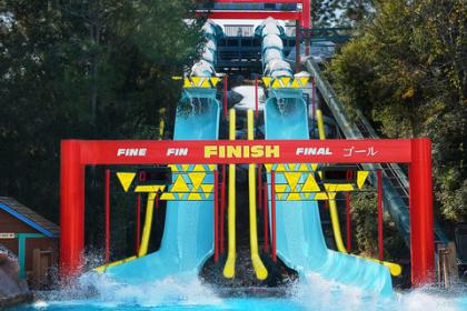 Disney&#039;s Blizzard Beach Water Park 