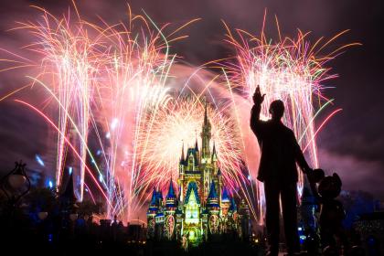 Magic Kingdom Park 